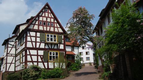 Geschichte pur: die historische Burgfeste Dilsberg